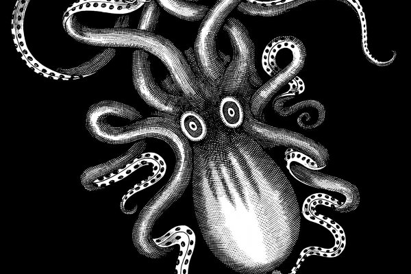 Kraken зеркало даркнет